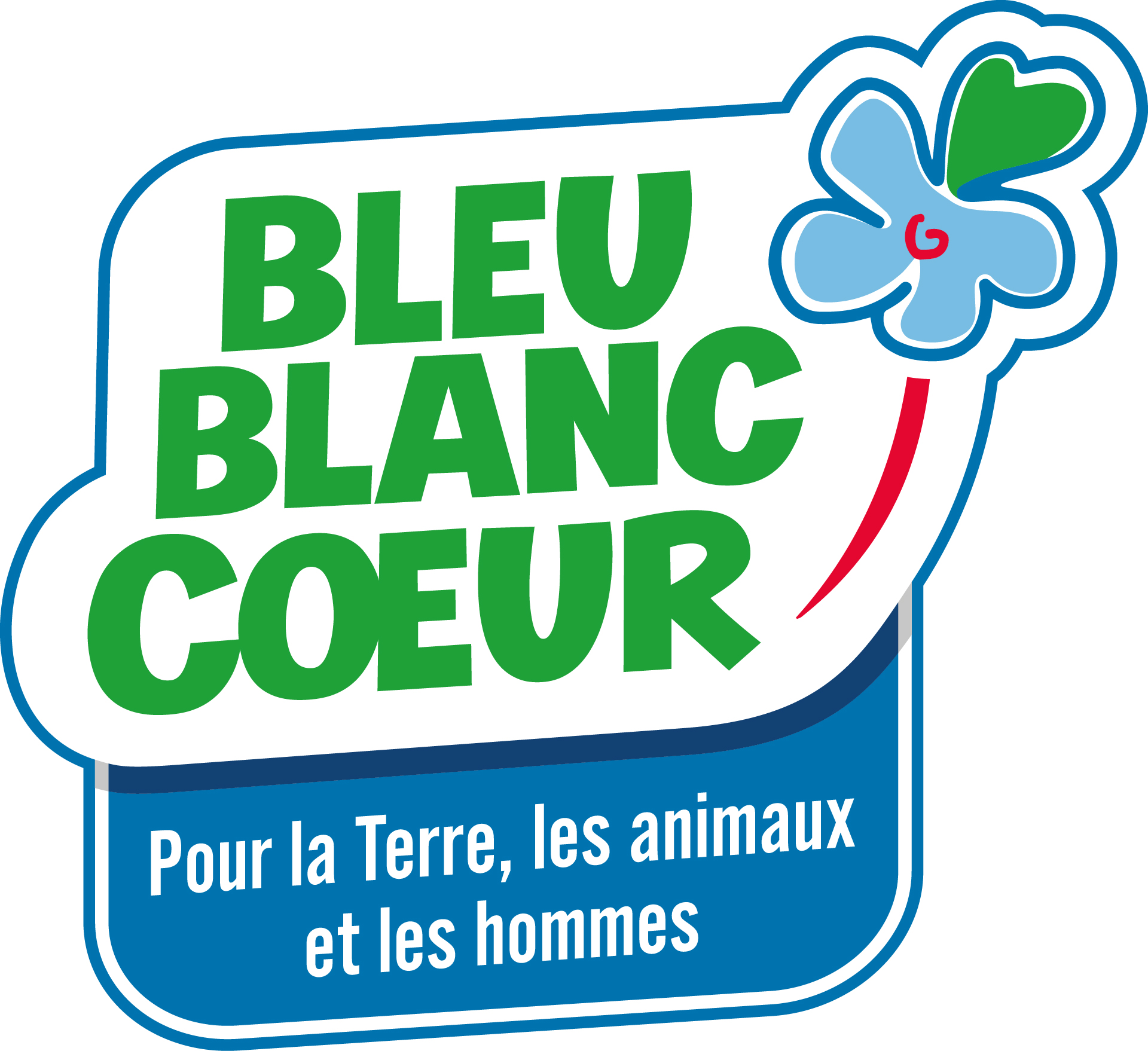 logo bleu blanc coeur